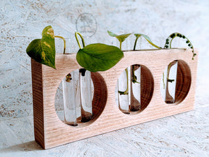 Our Triple O Propagation Station. A beautifully handcrafted creation made from the finest Tasmanian oak and finished using 100% natural wood oil, on Plain white Crafty Palms background. Growing in this prop' station are devils ivy and string of pearls.