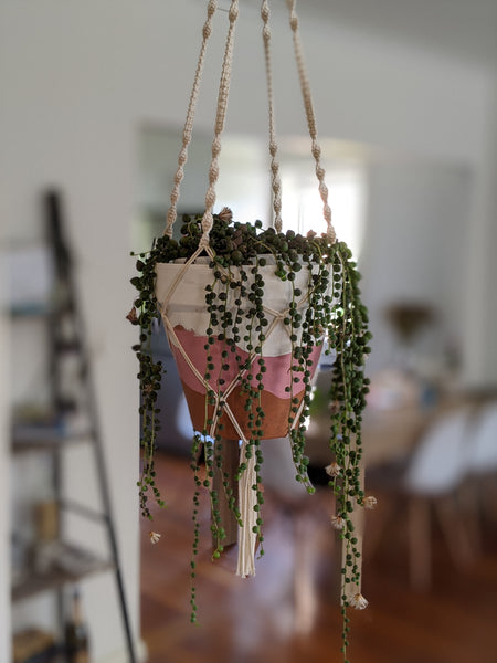 Olive - Plant Hanger (Large) - Crafty Palms